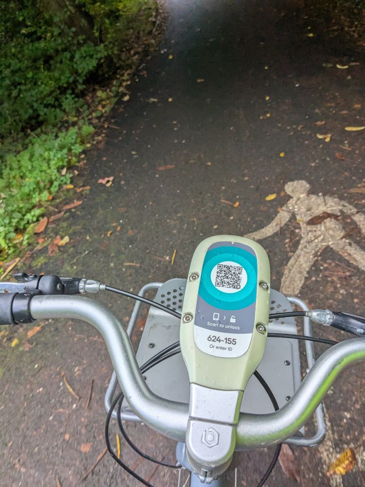 Photo over the handlebars of a Beryl bike, on a wooded path on a wet gloomy day.