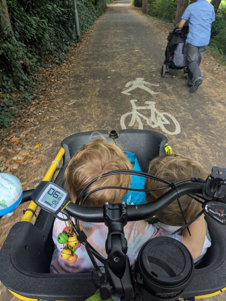 Photo of two young boys in the front of my cargo bike, riding along a traffic free path. The older one has got a protective arm around the younger one, so sweet.