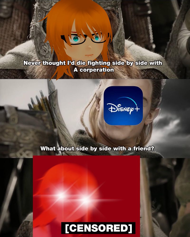 An edit of the "Die fighting side by side with a friend" meme from Lord of The Rings. It instead features a redhead with glasses screaming at the disney plus logo, but the response is censored, implying a string of explicit words and threats of violence follow. 