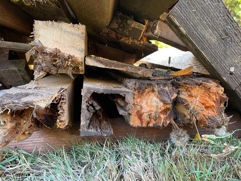  picture of the end of a bunch of 4x4s that are all rotted. 