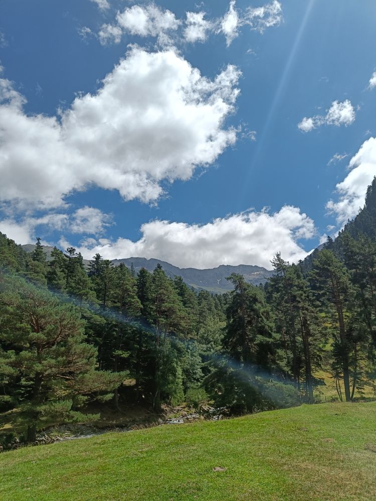 Vue de la grange : un torrent, des sapins, une fin de vallée et au fond, des montagnes qui atteignent entre 2500 et 3000m