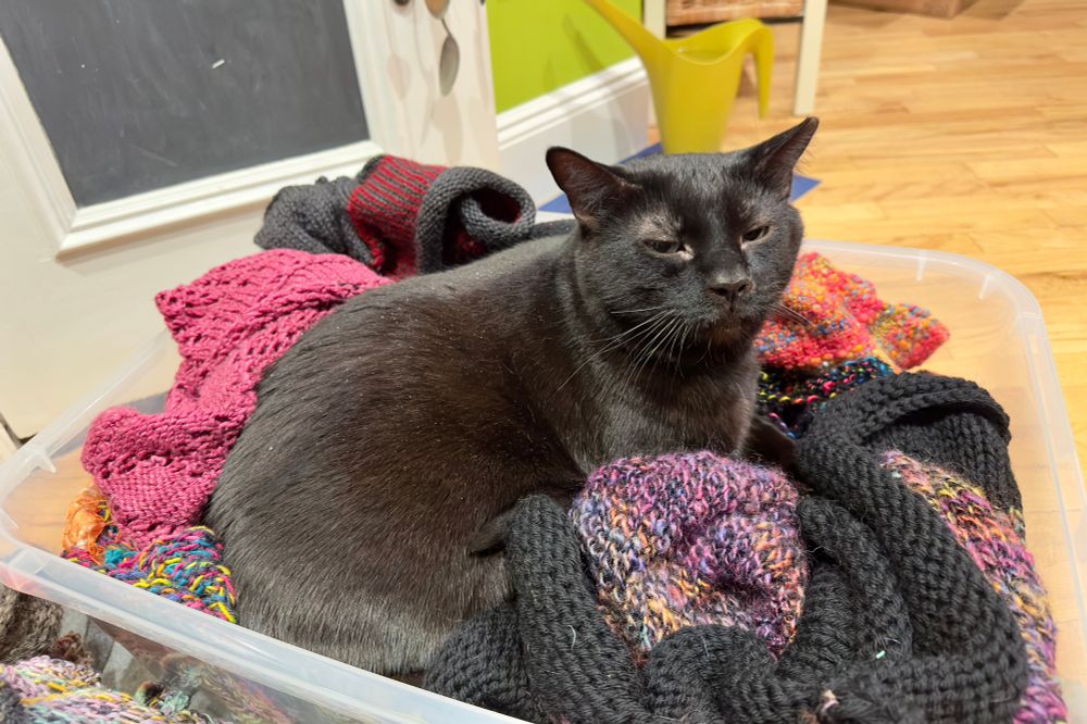Black cat settling in a bin filled with colorful hand-knit scarves and hats.