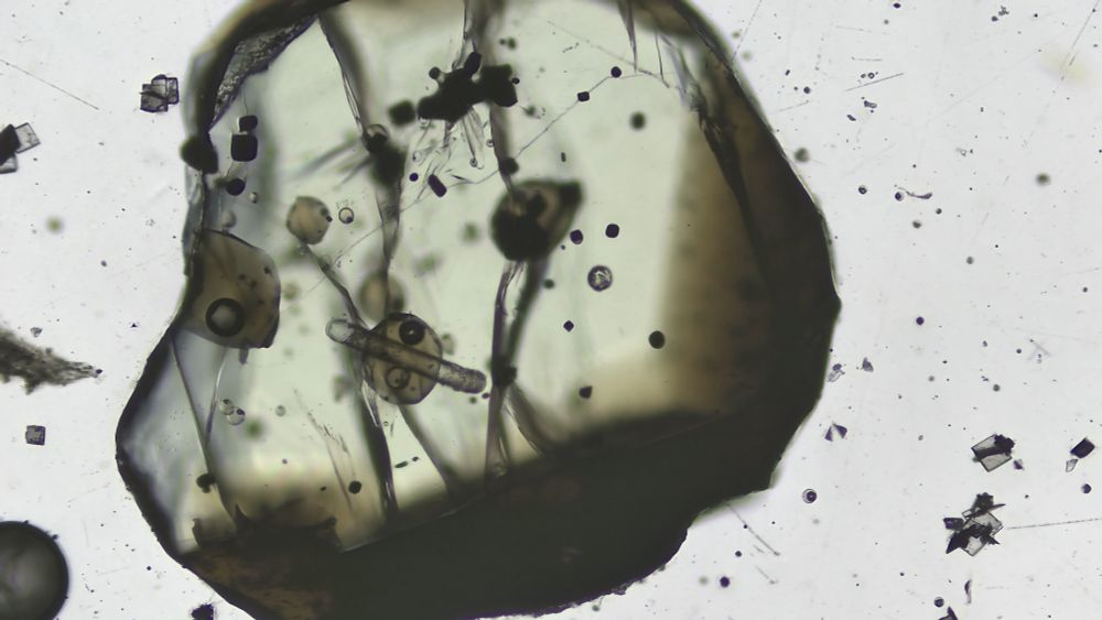 Surface transmitted light image of olivine crystal from Mt. Galunggung, Indonesia. Dozens of melt inclusions with vapor bubbles can be seen throughout crystal. Odd line cutting through one crystal is a remnant of SIMS & EPMA anlyses.