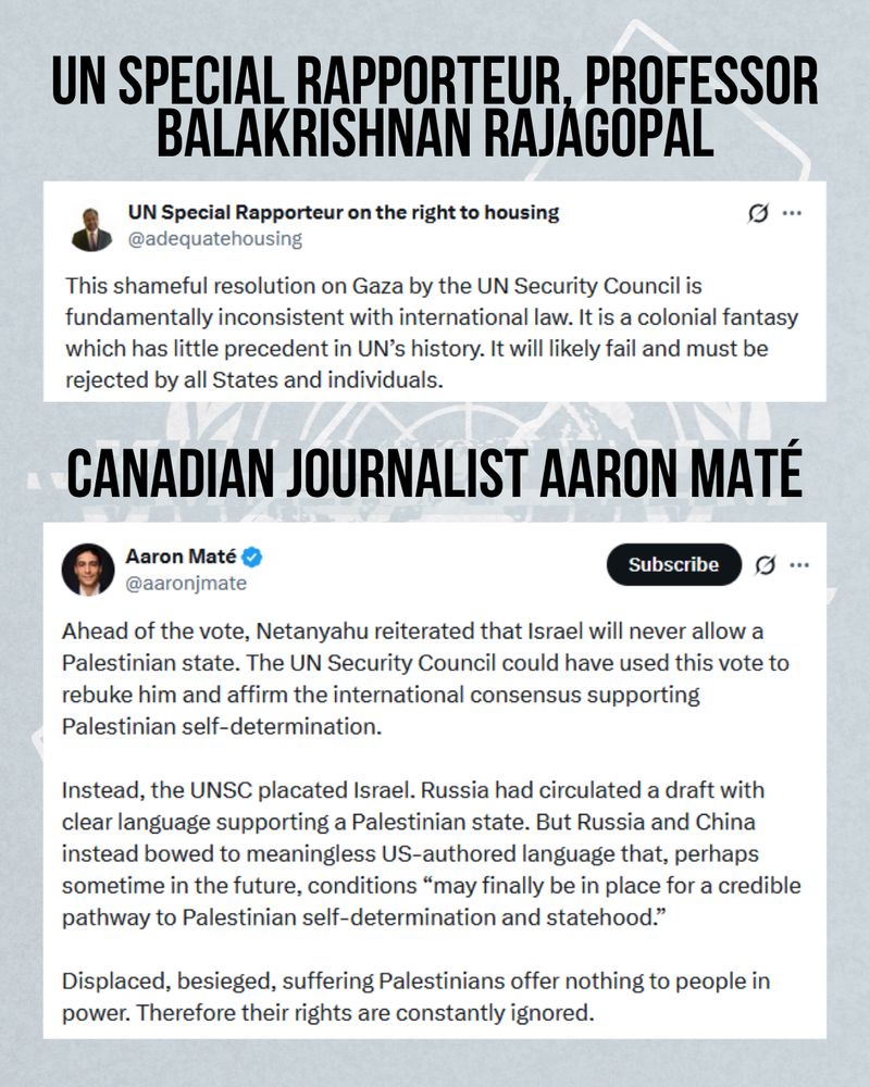 Screenshots of X:
1: UN Special Rapporteur Balakrishnan Rajagopal
"This shameful resolution on Gaza by the UN Security Council is fundamentally inconsistent with international law. It is a colonial fantasy which has little precedent in UN’s history. It will likely fail and must be rejected by all States and individuals."

2: Canadian journalist Aaron Mate
"Ahead of the vote, Netanyahu reiterated that Israel will never allow a Palestinian state. The UN Security Council could have used this vote to rebuke him and affirm the international consensus supporting Palestinian self-determination. 
Instead, the UNSC placated Israel. Russia had circulated a draft with clear language supporting a Palestinian state. But Russia and China instead bowed to meaningless US-authored language that, perhaps sometime in the future, conditions “may finally be in place for a credible pathway to Palestinian self-determination and statehood..."