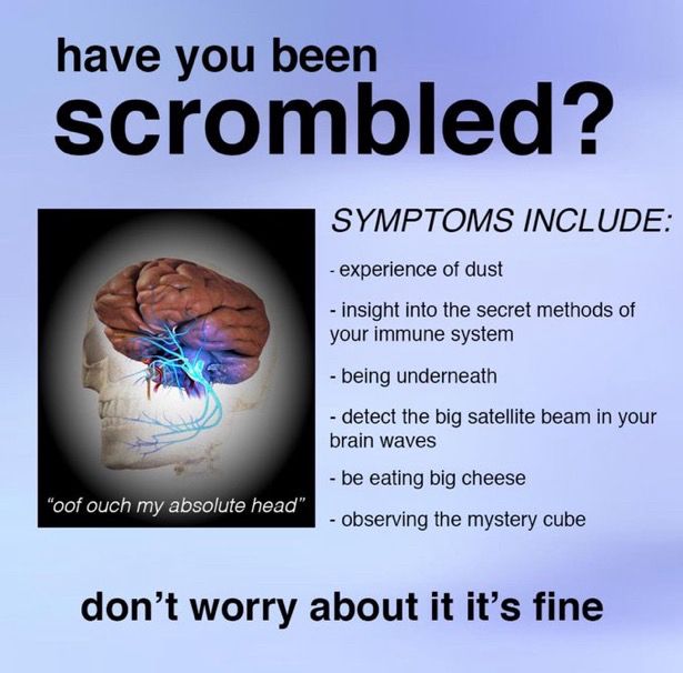have you been scrombled?
"oof ouch my absolute head"
SYMPTOMS INCLUDE:
- experience of dust
- insight into the secret methods of your immune system
- being underneath
- detect the big satellite beam in your brain waves
- be eating big cheese
- observing the mystery cube
don't worry about it it's fine