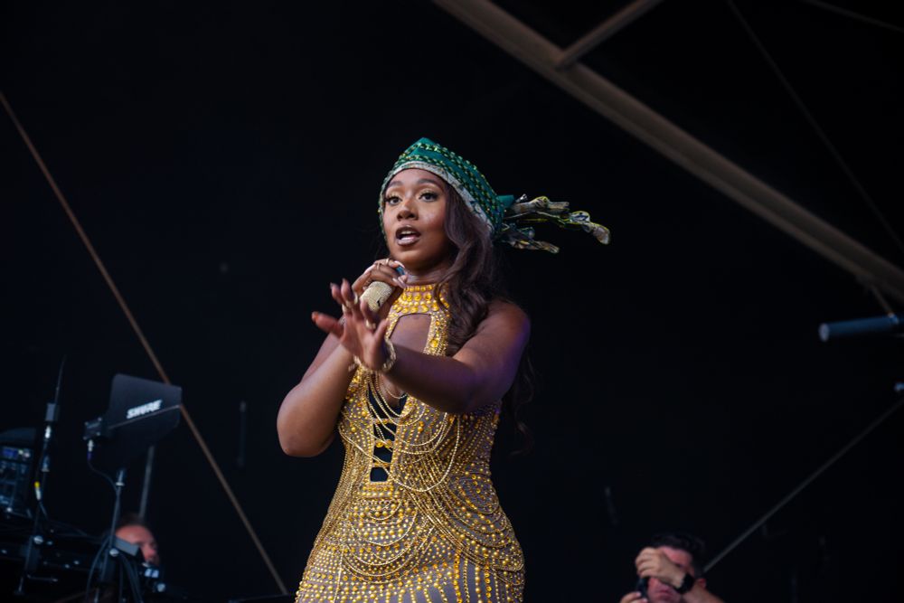 Singer in a beautiful dress
