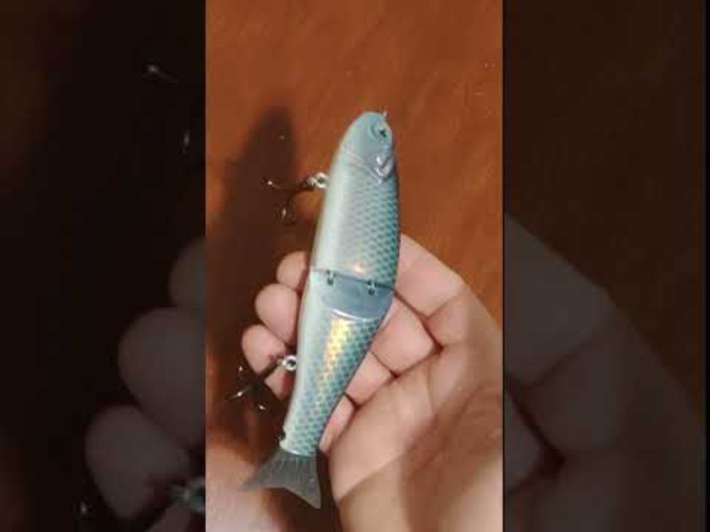 Happy Accident When Painting My New Glide Bait