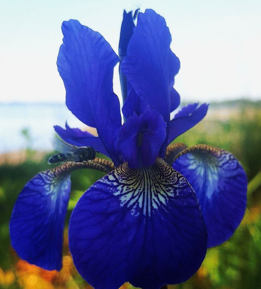 Post image (had no alt text on Bluesky)