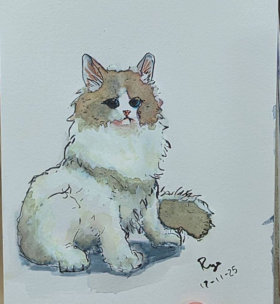 A quick scribbly cat in watercolours and pen