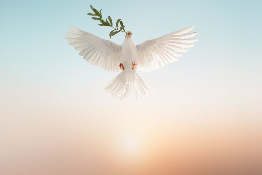 Post image (had no alt text on Bluesky)
