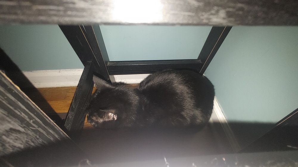 My black cat Poe hiding in a dark corner of a room behind and under furniture.