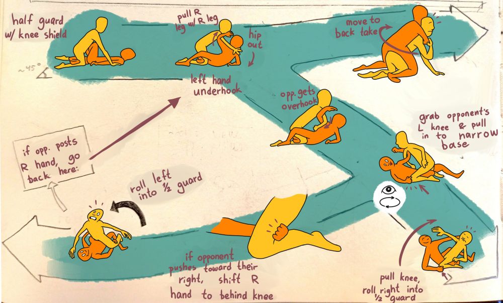 8 drawings showing some options from half guard. 