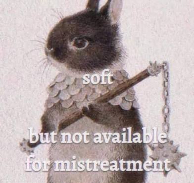 Meme image: Cute little cartoon bunny with a determined look is wearing some armor and holds a weapon (stick with spiky steal ball at the end of a chain) 
Meme text: soft, but not available for mistreatment. 