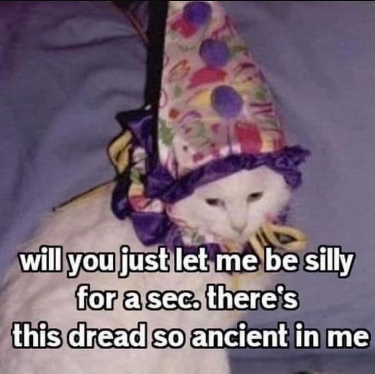 Meme image: white cat wearing a colorful matching cone hat and ruffle collar.
Meme text: Will you just let me be silly for a sec. There’s this dread so ancient in me. 
