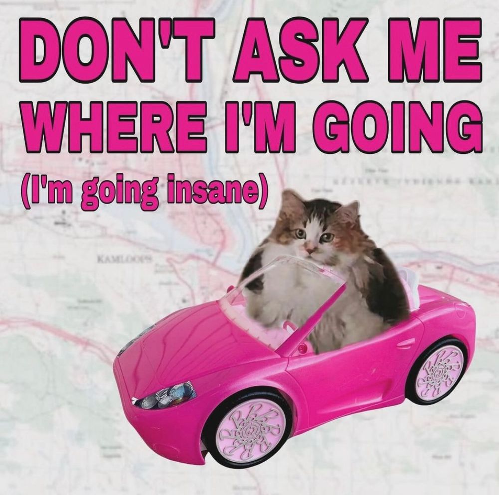 Meme text reads: Don’t ask me where I’m going (I’m going insane). Meme photo is of a fluffy calico cat sitting in a pink convertible doll car. 