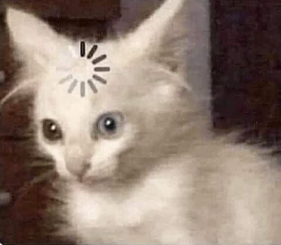 Photo of a kitten staring into space with the loading spiral on its forehead. 