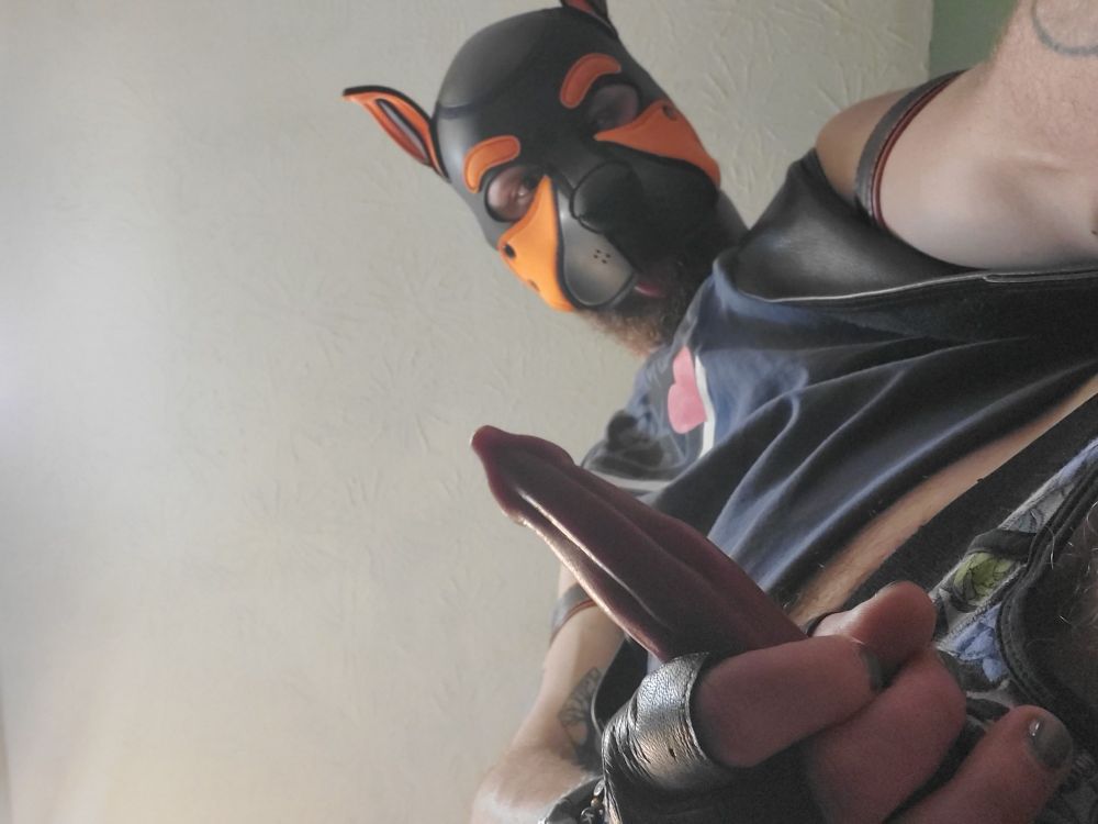 POV photo from underneath a new red silicone dildo Floki grips with a fist in a fingerless-leather gloves. He wears a Fort Troff leather pride tank, a lace-up leather vest, plus his pup hood and leather armbands. 