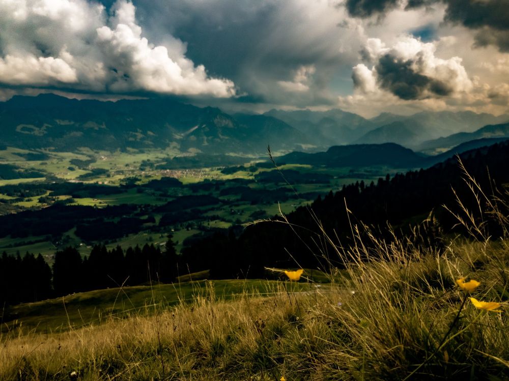 Aufziehendes Gewitter über den Allgäuer Alpne, im Vordergund eine Hochweide