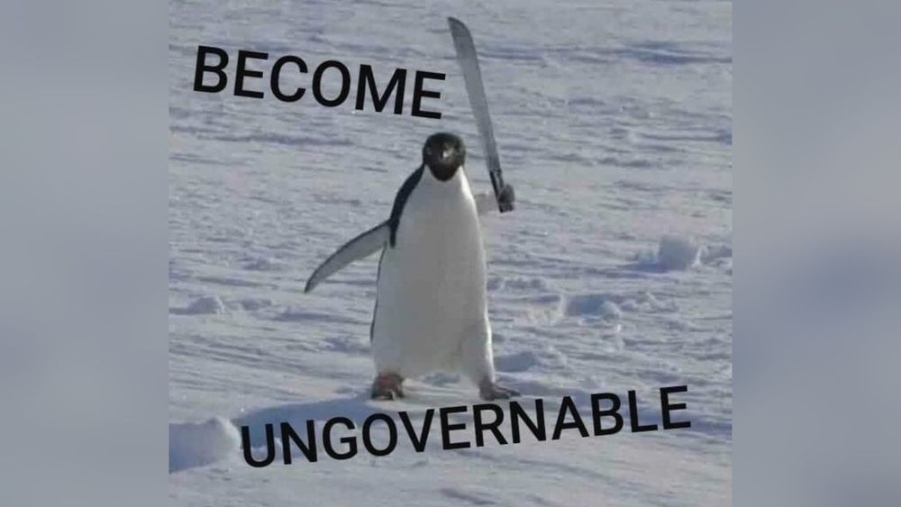 Meme "Become ungovernable" en el que se ve a un pingüino machete en mano con una actitud bastante bastante Ungovernable 