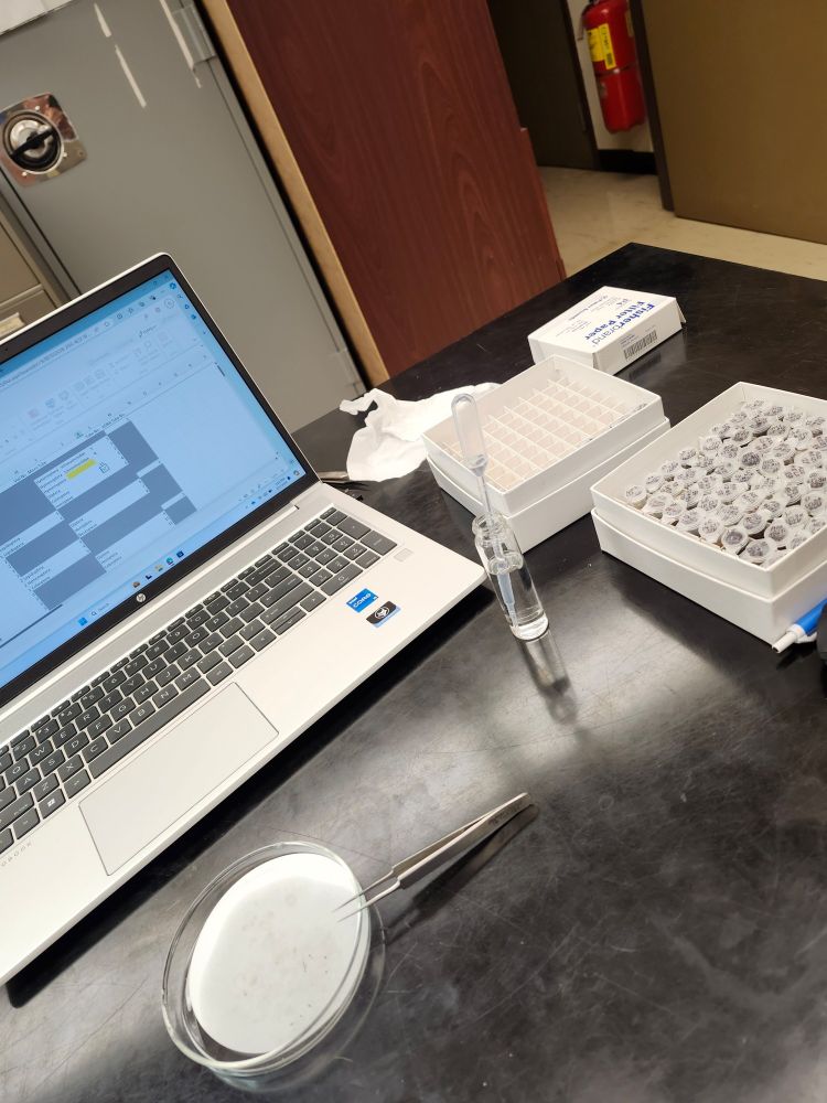 An empty petri dish sits next to a laptop with an excel spreadsheet pulled up. There is a box of micro tubules filled with various insects sitting on the dark lab table.