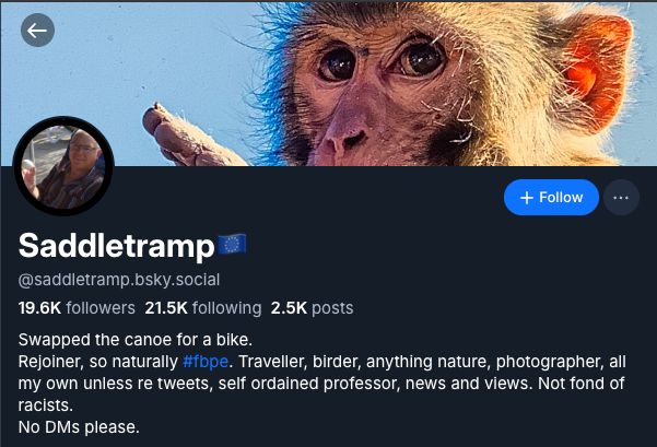 Saddietramp's bsky bio with an EU flag emoji and #FBPE hashtag. 

Describes himself as a "rejoiner" and "self appointed professor".

User's pfp is a bald, heavy set, red-faced older white man. 

His top post was an Ed Davey reskeet btw.