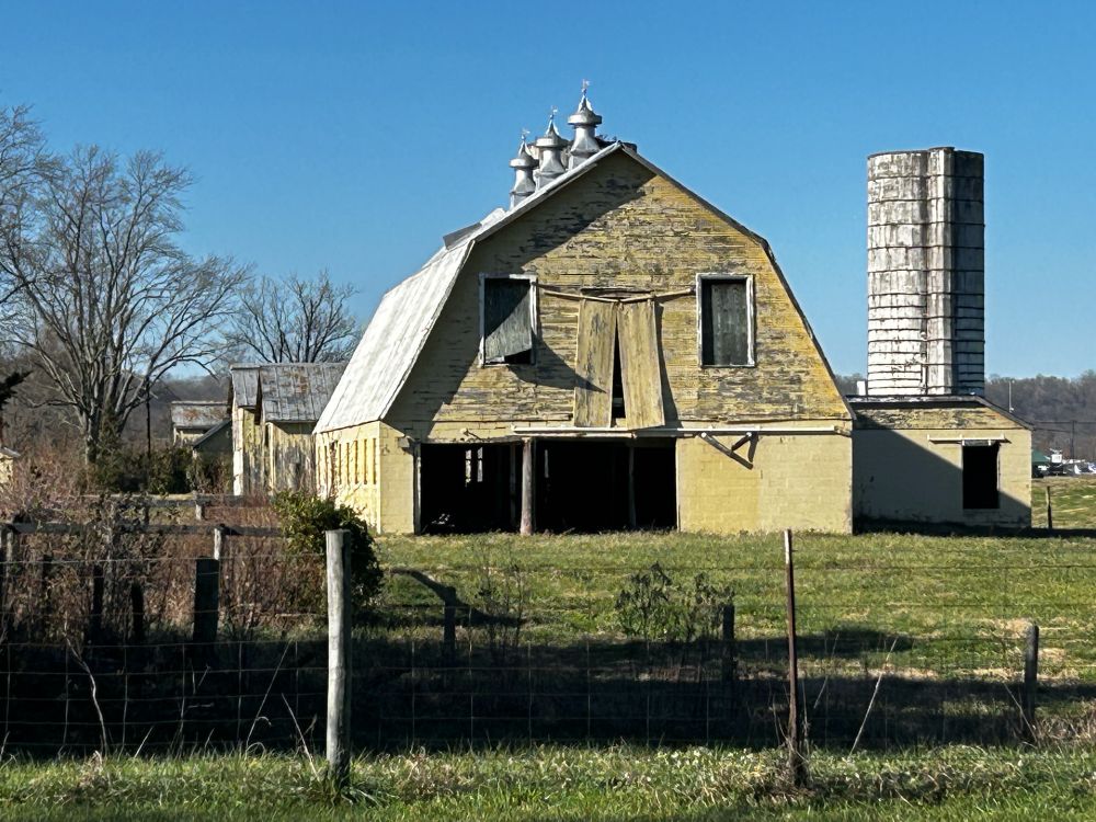 Yellow wooden barn on a blue sky day, flat green pasture with a grain silo