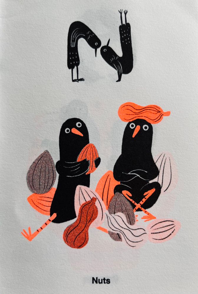 Risoprint illustration of birds and nuts and two birds forming a letter N with their bodies.
