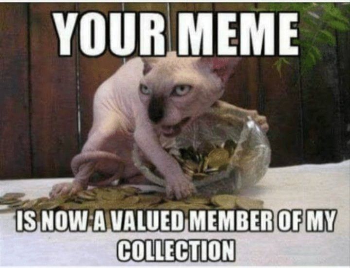 Comment image