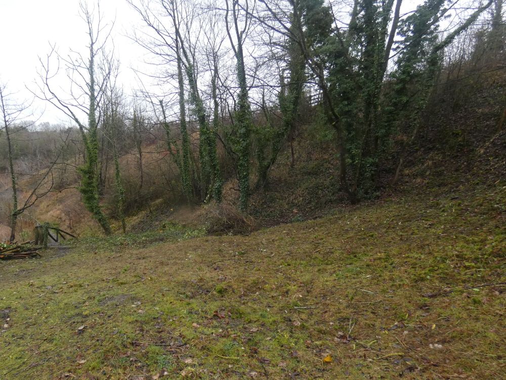 Plenty more to go at to le direct light get to the ground. It gets a bit steep here . The top of the bank is the plateau grasslandso it'll be connected.