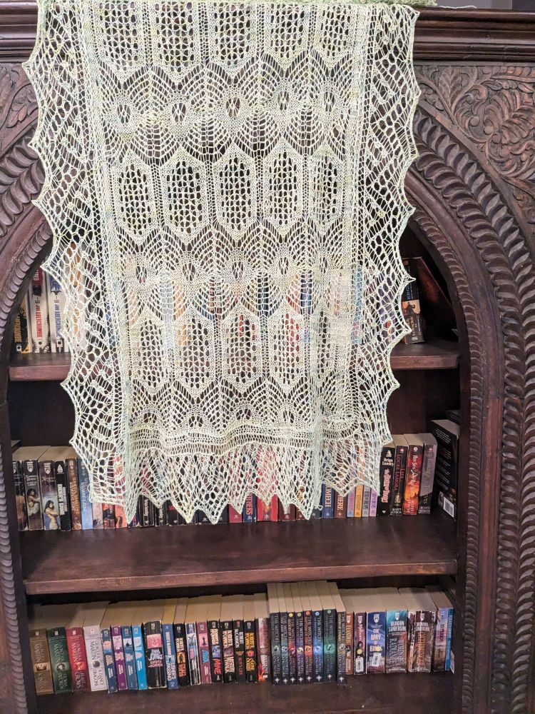 Lace shawl in front of a bookcase 