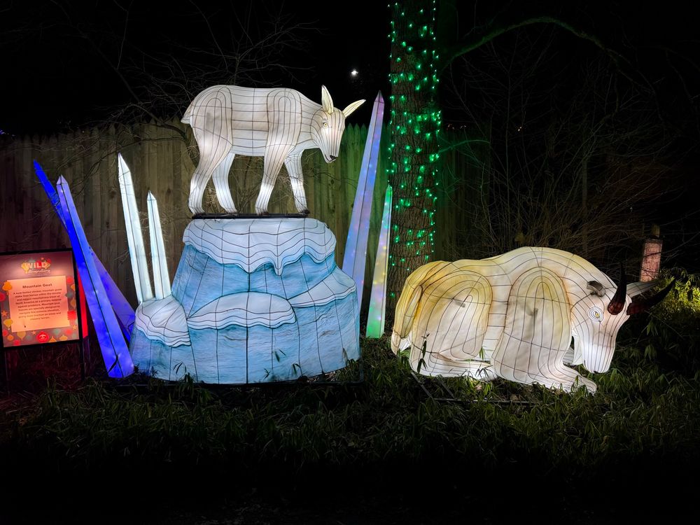 Two lit up statues of white mountain goats. One sits in the grass and the other stands on a blue and white rock. There are crystal-like shards of blue, white and purple in the background along with a tree wrapped in green lights. 