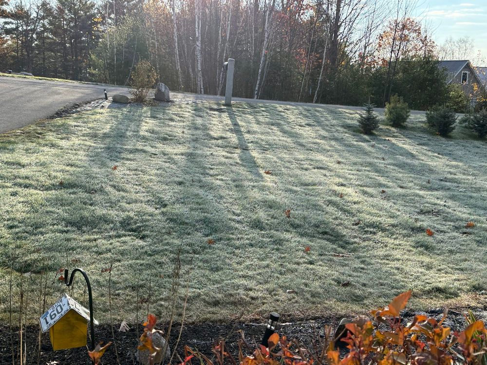 Crunchy grass this morning 