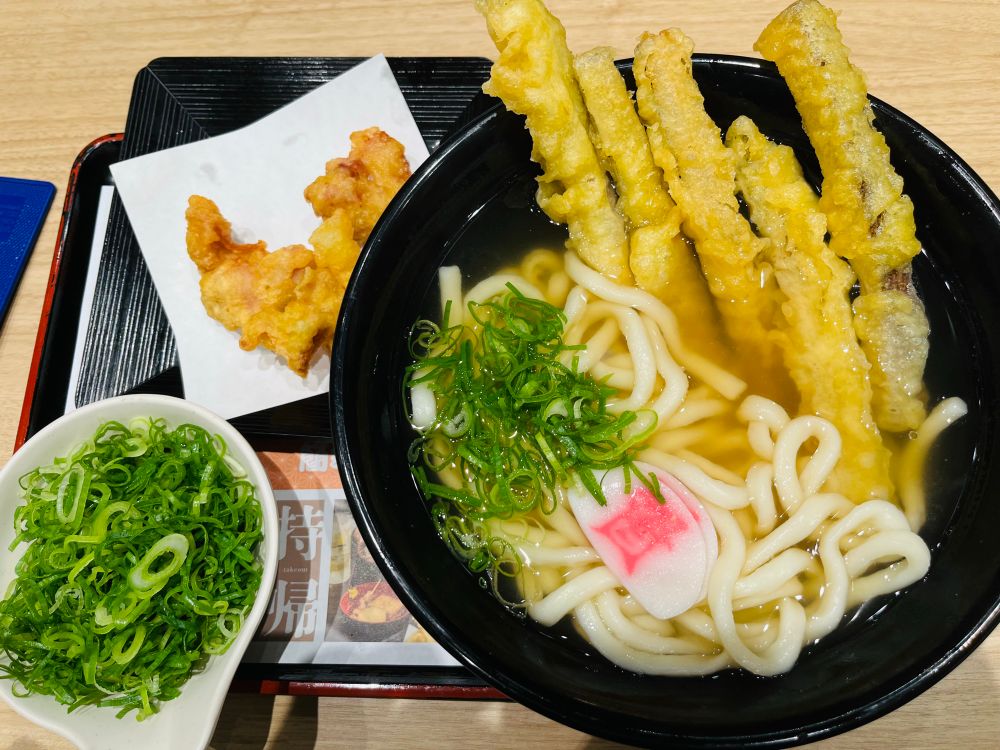 ごぼ天5本の温うどん、小皿で添えられた追加ねぎ、鶏天3個
