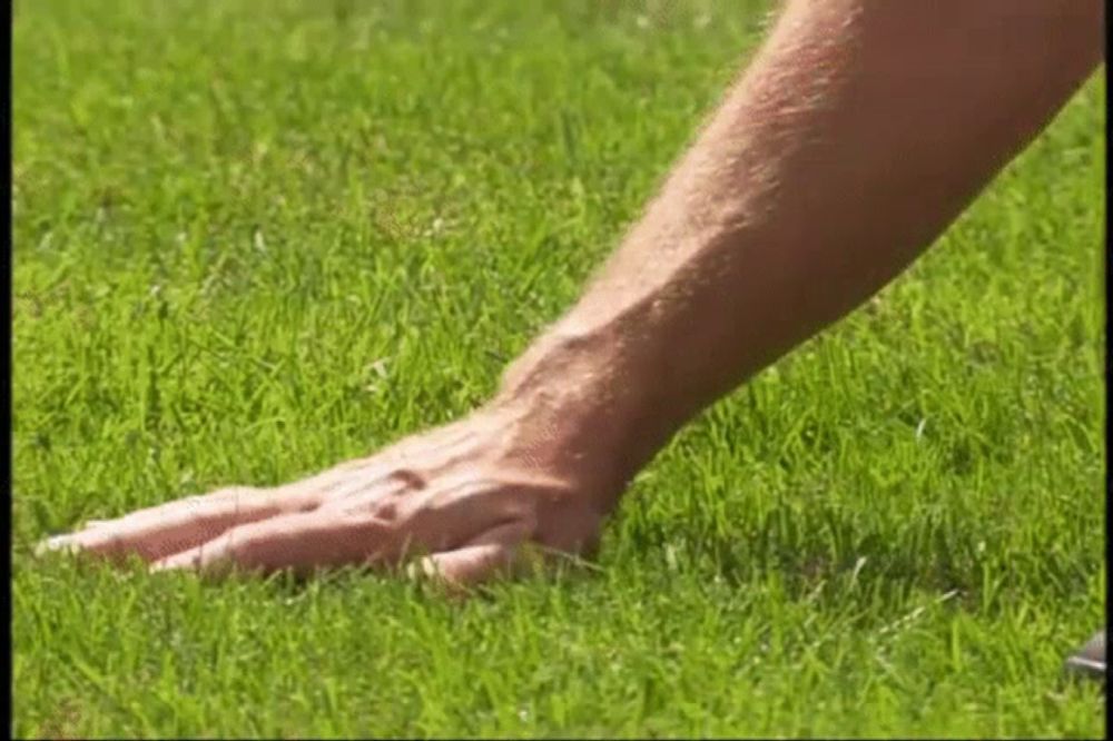 a close up of a person 's hand laying on the grass .