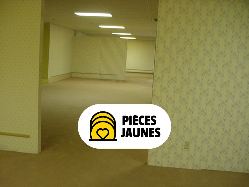 OPÉRATION PIÈCES JAUNES