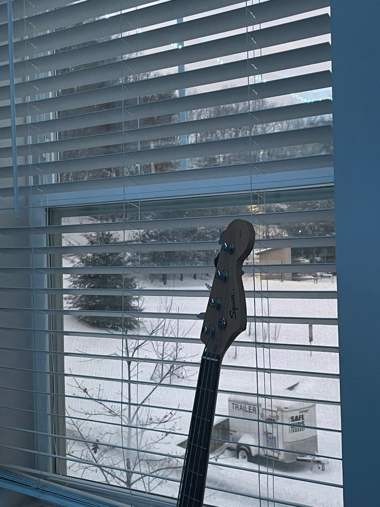 the view outside my window. there is a layer of snow blanketing everything outside, at least an inch thick.