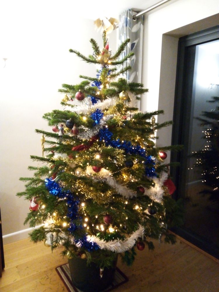 A photo of a Christmas tree. It's a real tree, decorated with white-yellow lights and white, red, blue, silver, and gold tinsel. It's also decorated with baubles in gold, silver, blue, and red. At the top is a golden paper angel and a small teddy wearing a Santa hat.
