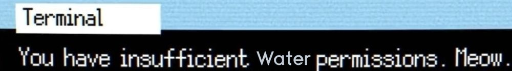 says "you have insufficient water permissions.meow" call back from another screenshot this person posted