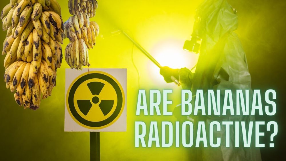 Radioactive Bananas: It’s What’s For Breakfast