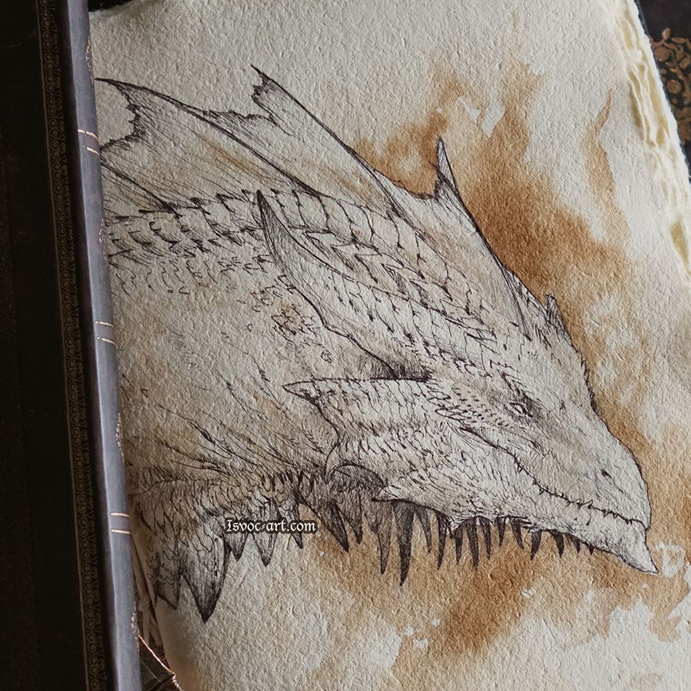 Photo of a sketchbook with a drawing of a dragon with very wedgy face.