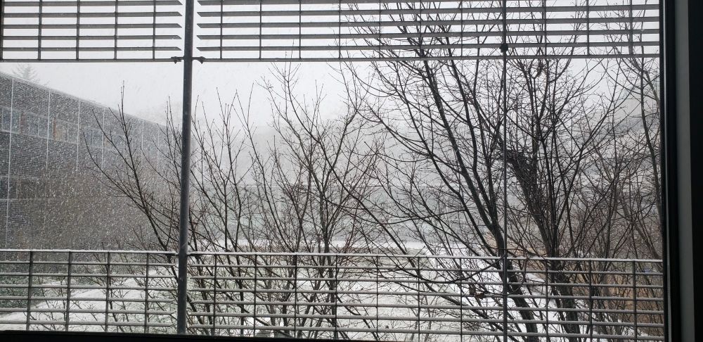 View out of an office window of a snowstorm obscuring a courtyard