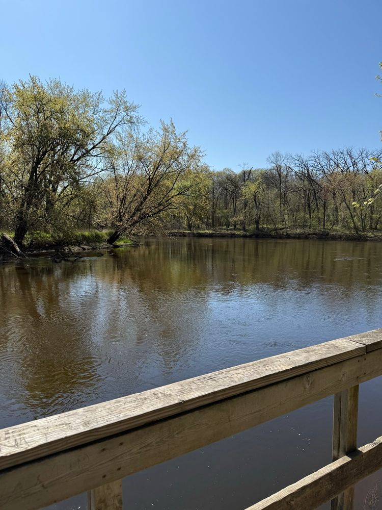 A view of a curve of the Rum River as seen from the fishing/viewing deck.  The river is fairly placid, not flooded this year, and the trees along the river are showing the first blushes of green against a clear blue sky.