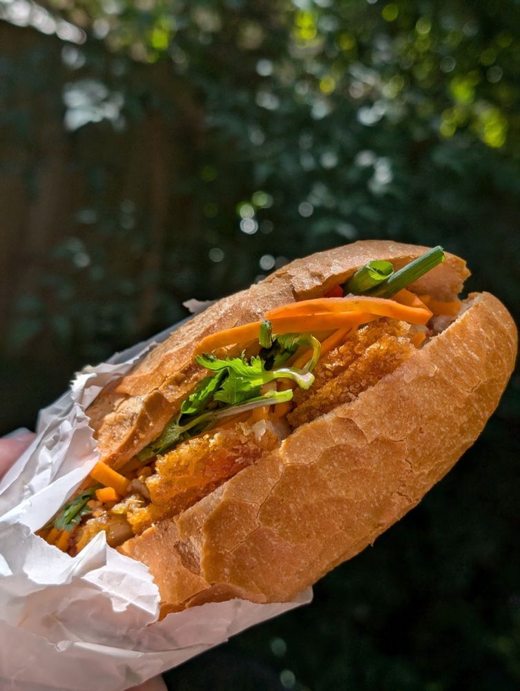 a delicious roast pork bành mí shimmering in the spring sunlight