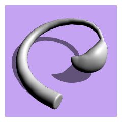 3d lion tail