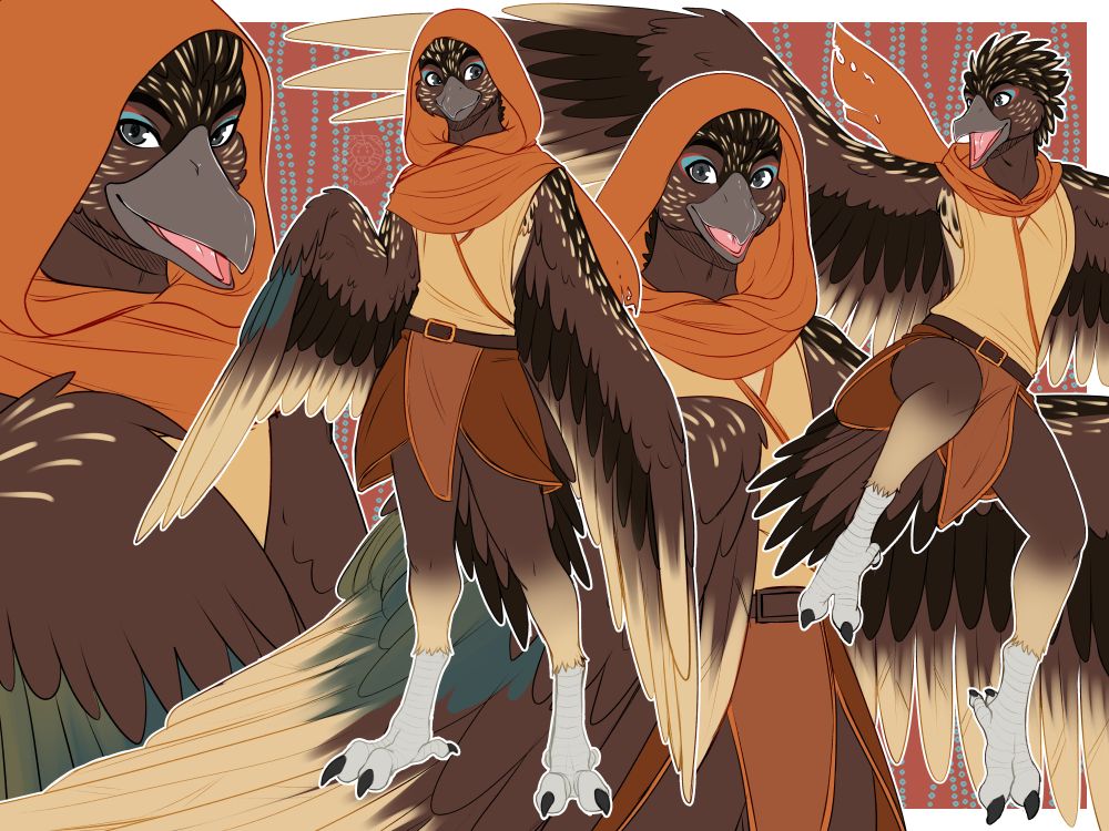a sketch page with 4 sketches of an anthro bird character. in 3 he is wearing an orange hood and th 4th he is jumping with his wings out and hood down.