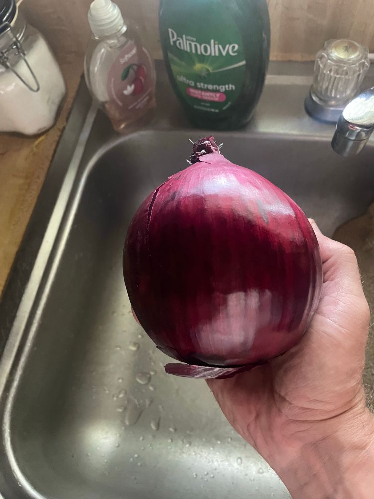 Onion 