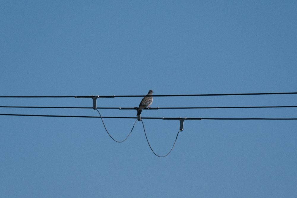 デジタルテレコンx2