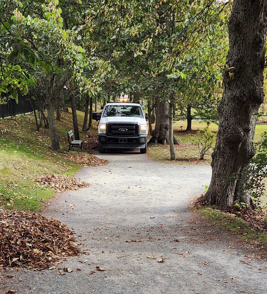 Large city pick-up truck blocking a path in a public gardens 