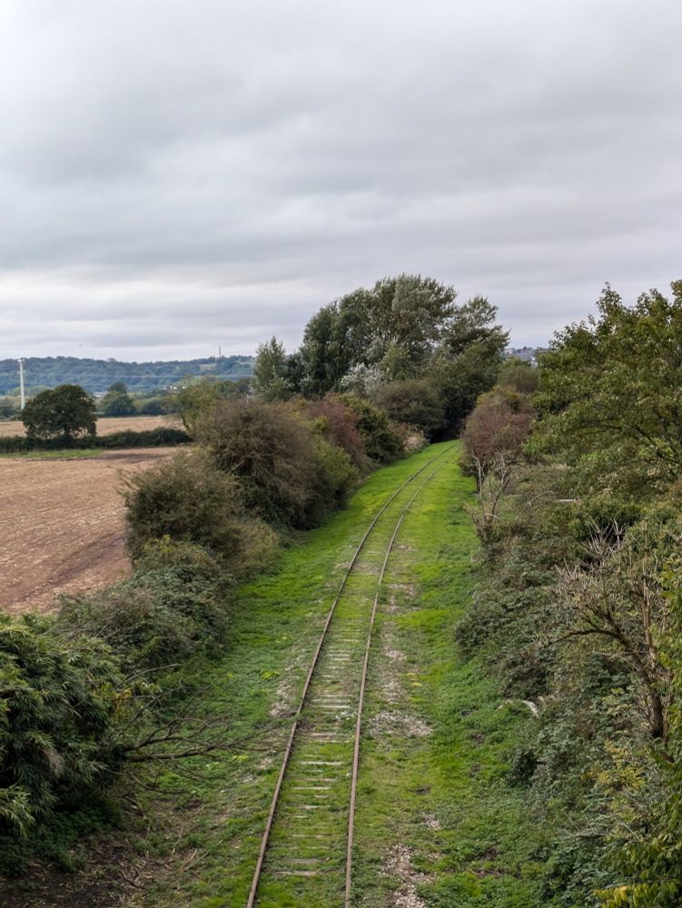 disused railway with grass and moss