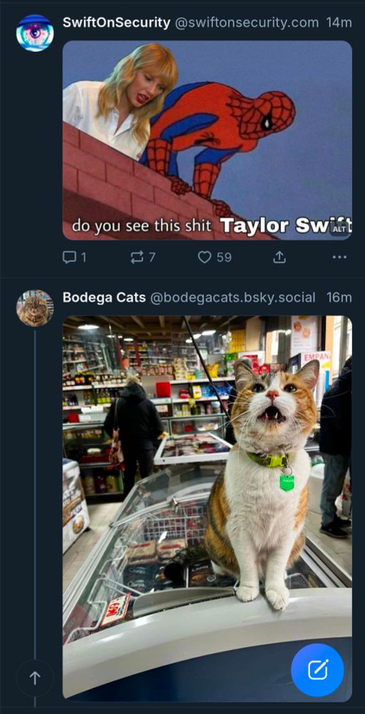 this post, and the post below it